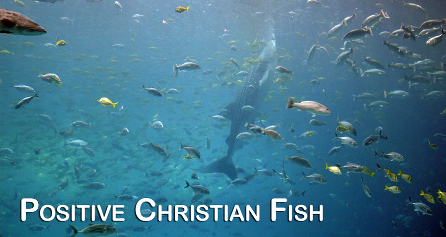 Take a free swimming lesson in God's ocean of love.